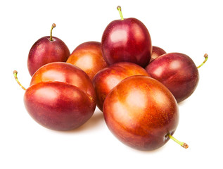 plum group