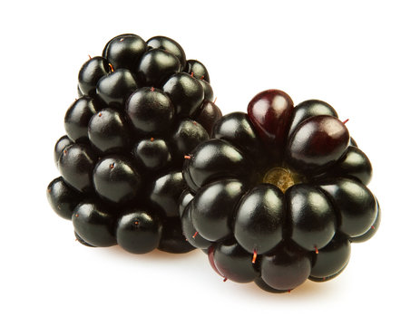 two blackberries