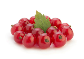 Red currant berry