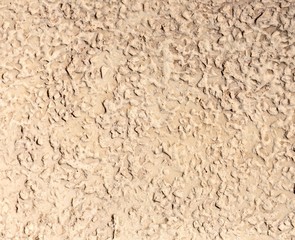 Beige Stone Background