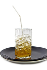 Ices in Glass