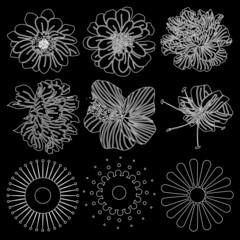 White vector flowers patterns