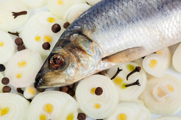 Herring with onions and spices