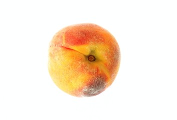 Peach on white background