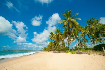 Foto auf Acrylglas Tropischer Strand Tropischer Strand