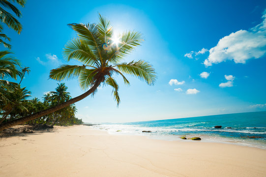 Fototapeta Fototapeta Tropikalna plaża w słoneczny dzień ścienna
