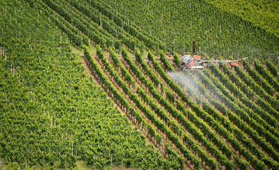 Schädlingsbekämpfung © Grischa Georgiew