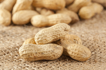 Fresh Dry Organic Peanuts
