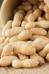 Fresh Dry Organic Peanuts