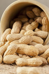 Fresh Dry Organic Peanuts