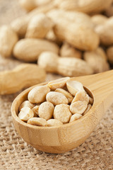 Fresh Dry Organic Peanuts