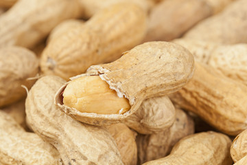 Fresh Dry Organic Peanuts