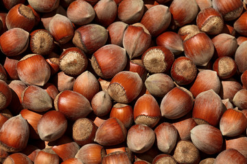 hazelnut brown bunch of close-up
