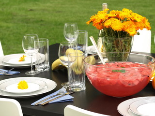 Party table