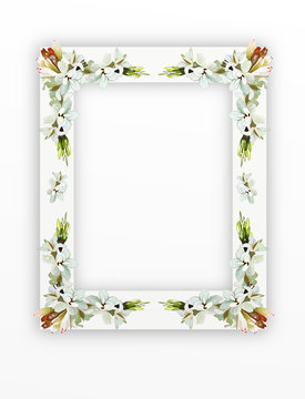 Tuberose Flowers on Vertical White Frame