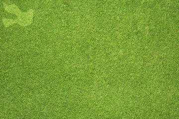Peace icon on green grass texture and  background
