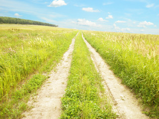 Earth road in the field