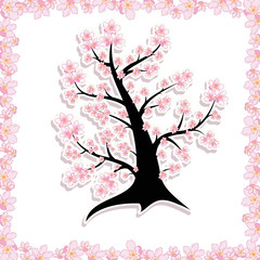 Blooming spring tree on a white background