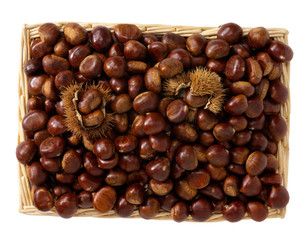 Castagne