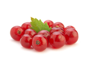 Red currant berry