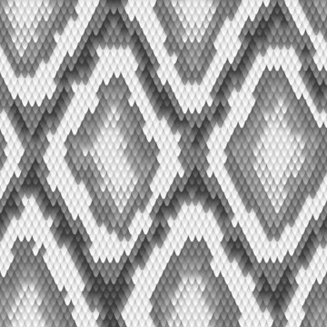 Seamless python snake skin pattern. Vector illustration.