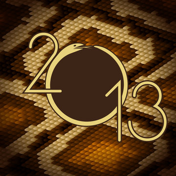 2013 design. Python snake skin brown background.
