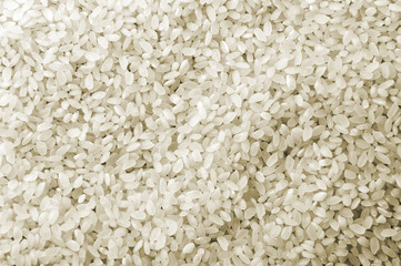 White Rice Texture
