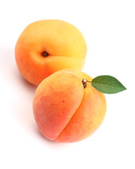 Fototapeta na wymiar Sweet ripe apricots with leaf