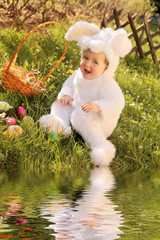 Osterhase beim Eier suchen mit Spiegelung