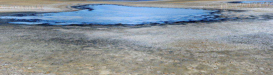 Deserto e pozze d'acqua nelle Camargue francesi