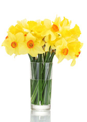 beautiful yellow daffodils in transparent vase isolated on