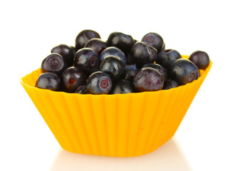 Fresh blueberries in colorful silicone mold isolated on white