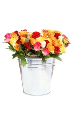 roses in  a tinny bucket