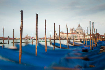 Gondolas in Venice with Santa Maria della Salute at sunrise