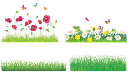 Set of flowers and green grass. Vector.