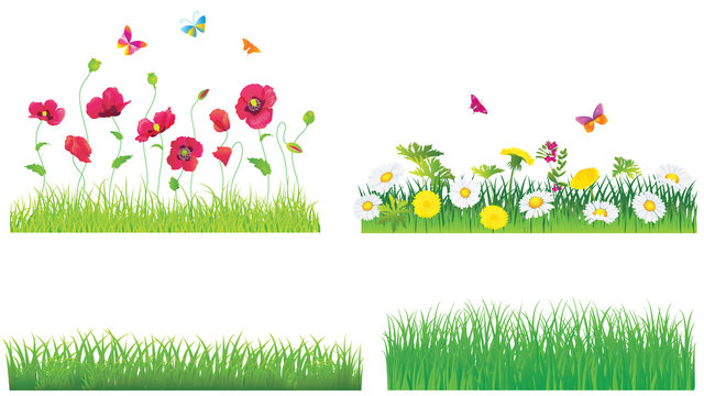 Set of flowers and green grass. Vector.