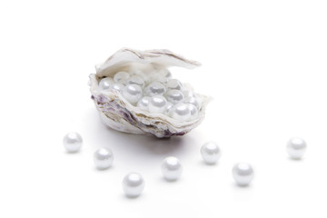 Perlen in einer Auster