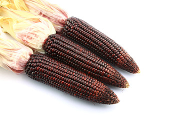 Purple corns with peel on white background
