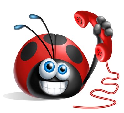 Coccinella Telefono 2