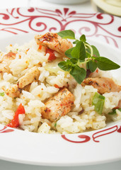 Risotto with vegetable and chicken meat