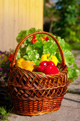 basket with harvest