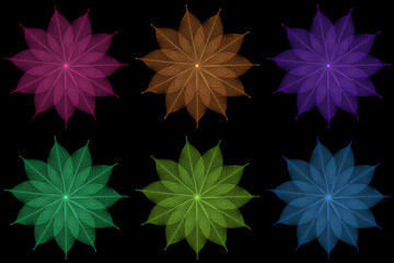 Skeleton leaf abstract background