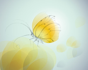 Yellow butterfly on flower / Realistic vector sketch