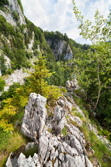 Balcoanele Galbenei peaks
