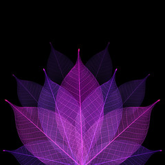 Skeleton leaf abstract background