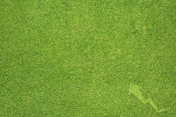 Graph icon on green grass background