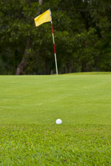 Obraz premium Green grass on a golf field