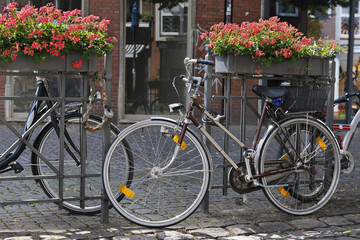 Bicycles chained to railings with plant tubs in Aachen