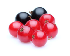 Currant in closeup