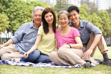 Portrait Of Chinese Parents With Adult Children Relaxing In Park